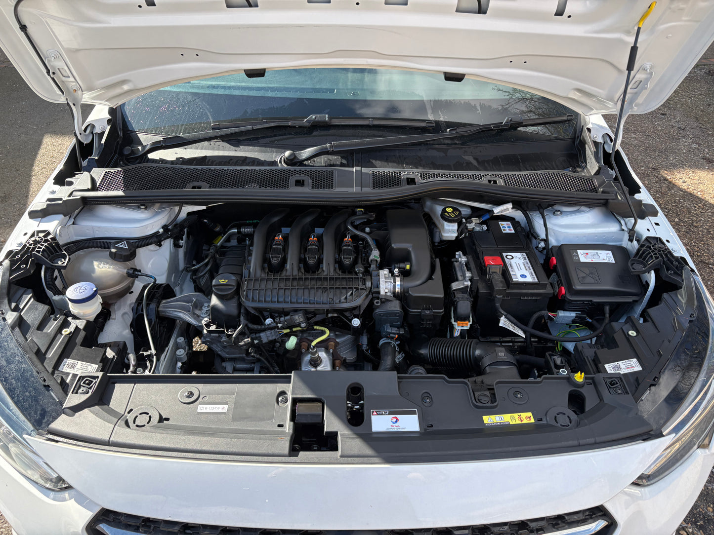 Engine Bay Clean